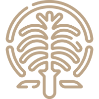 28 Mins: <span style="color: #000;">Palm Jumeirah</span>