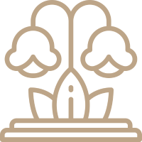 1 - 3 Mins: <span style="color: #000;"> Dubai Miracle Garden</span>